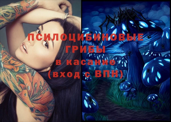 стафф Гусиноозёрск