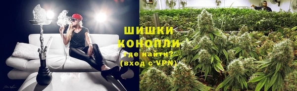 прущая мука Гусев