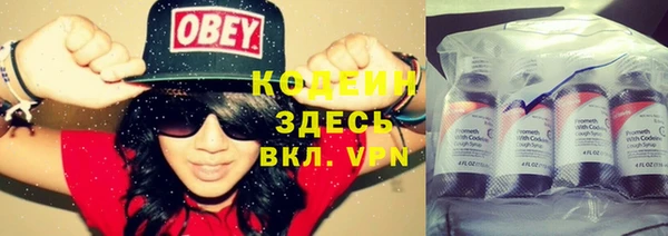 прущая мука Гусев
