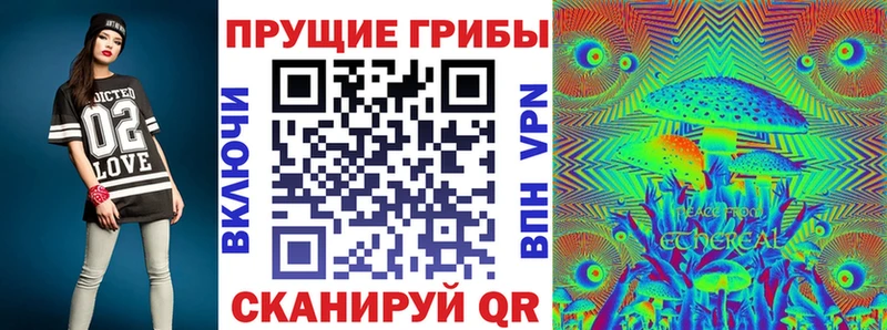 Галлюциногенные грибы Psilocybe цены наркотик Шагонар